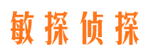 红寺堡小三调查